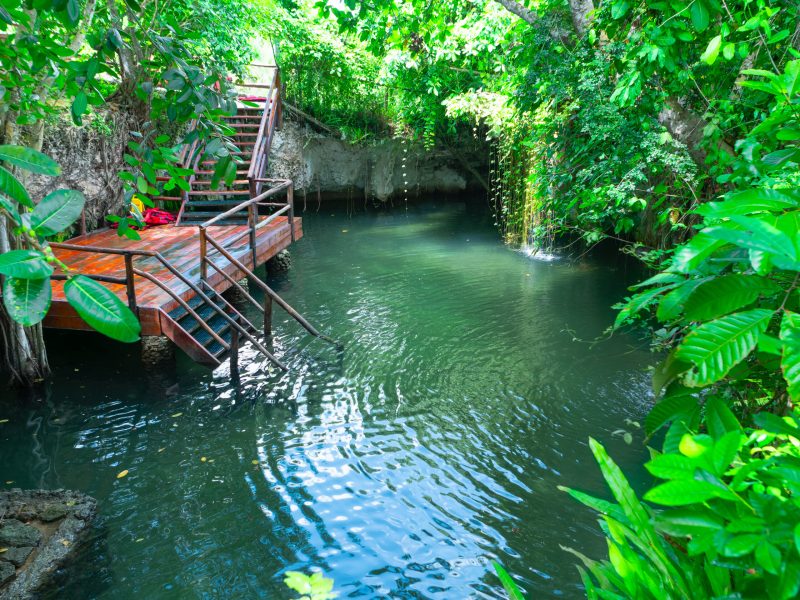 CENOTE MONKEY (5)