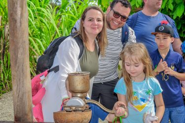 FARM & PLANTATION (6)