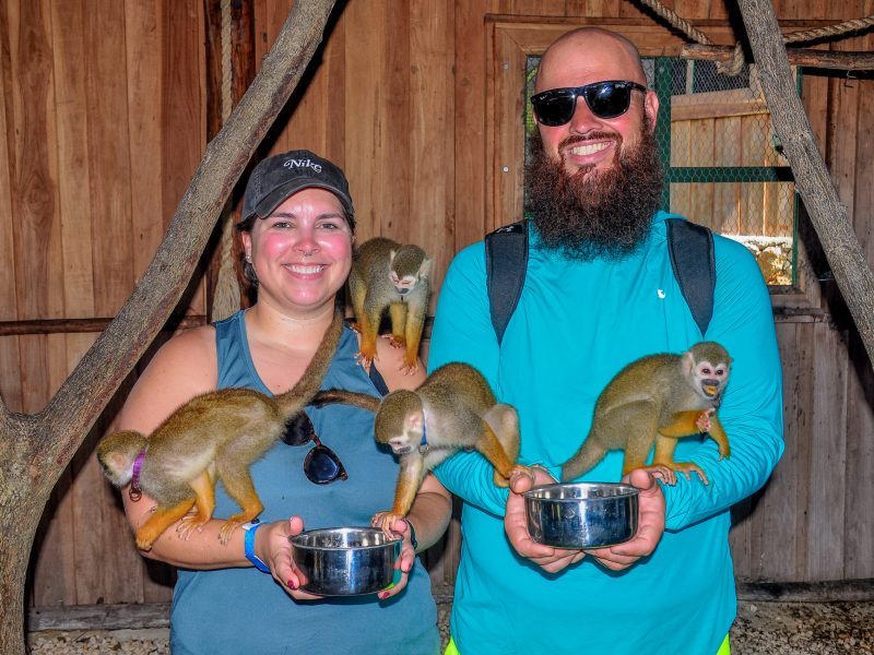 monkeyland-tour-dominican-republic