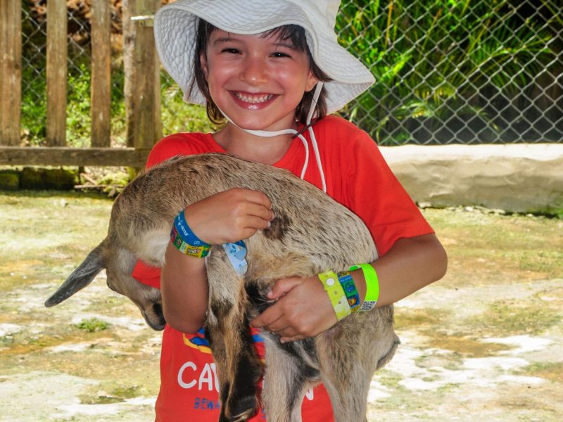 MonkeySanctuary (12)